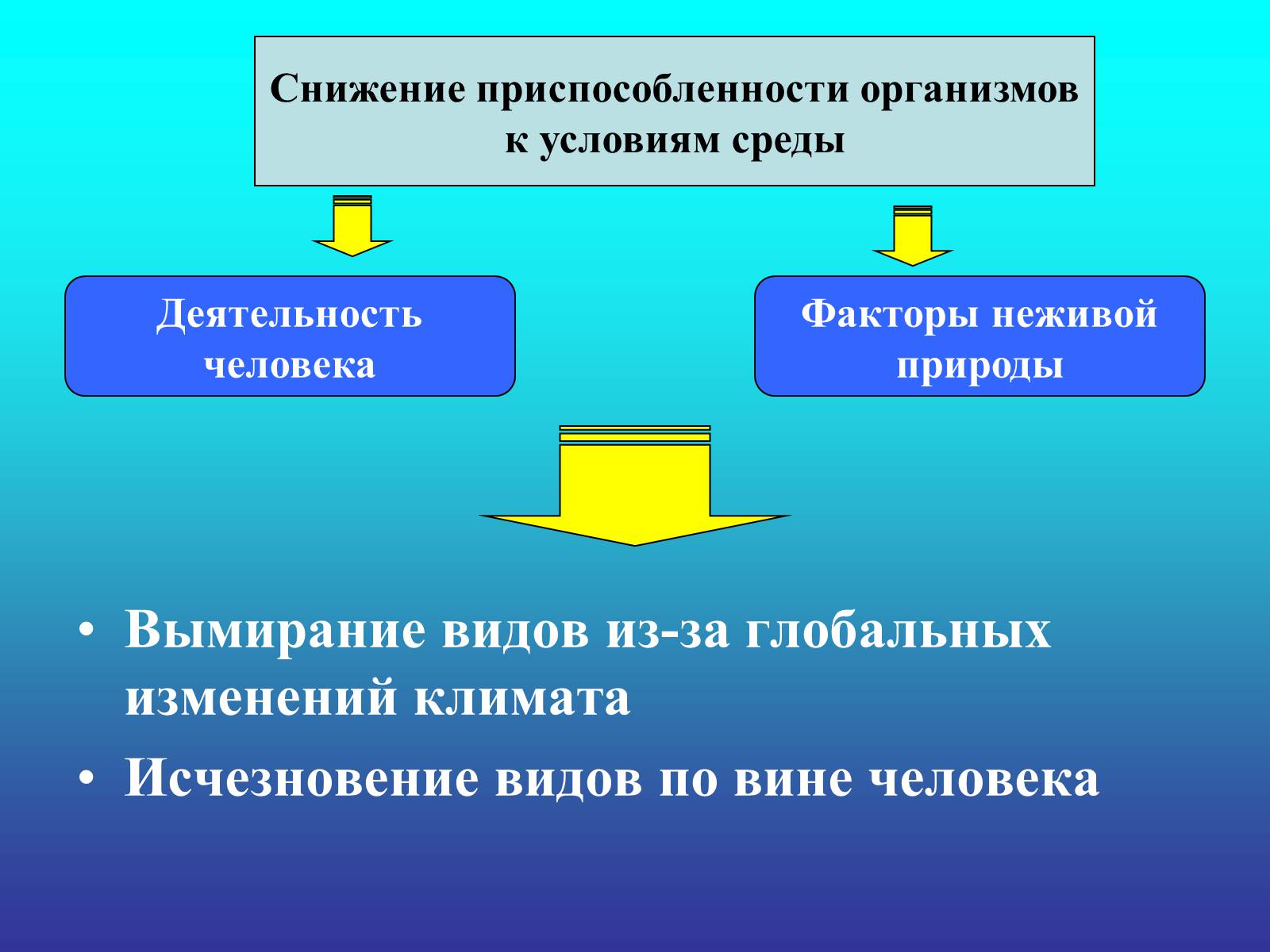 Презентація на тему «Биологический прогресс и регресс» - Слайд #4 Презентація на тему «Биологический прогресс и регресс» - Слайд #4