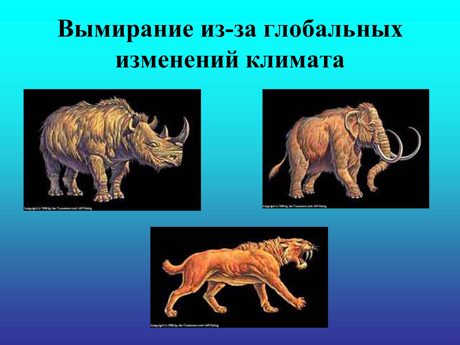 Презентація на тему «Биологический прогресс и регресс» - Слайд #5 Презентація на тему «Биологический прогресс и регресс» - Слайд #5