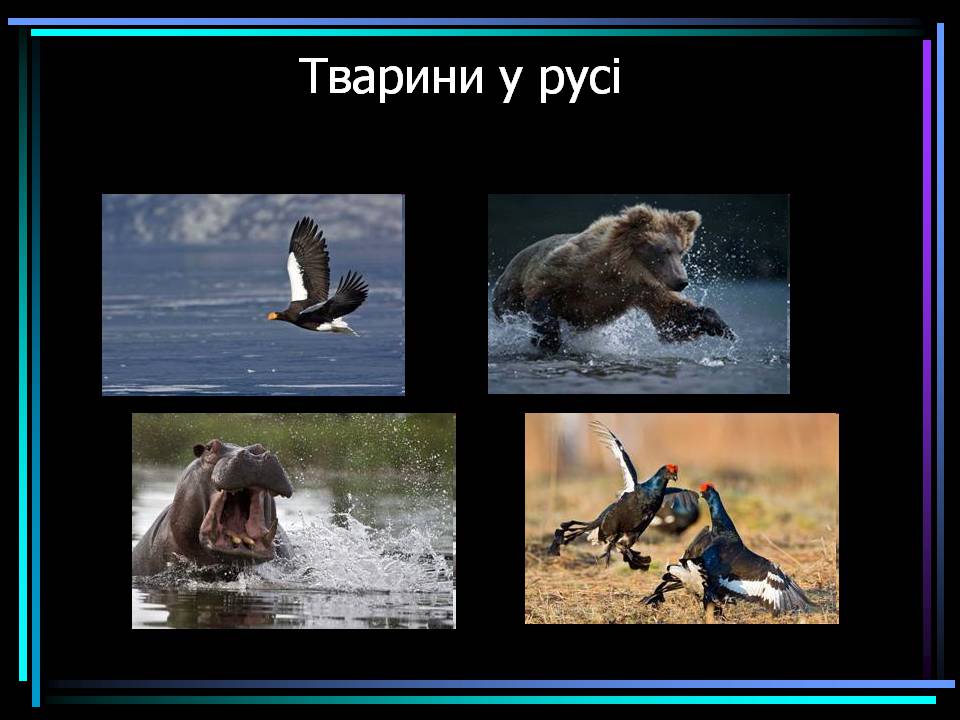 Презентація на тему «Основні процеси життєдіяльності тварин» - Слайд #19 Презентація на тему «Основні процеси життєдіяльності тварин» - Слайд #19