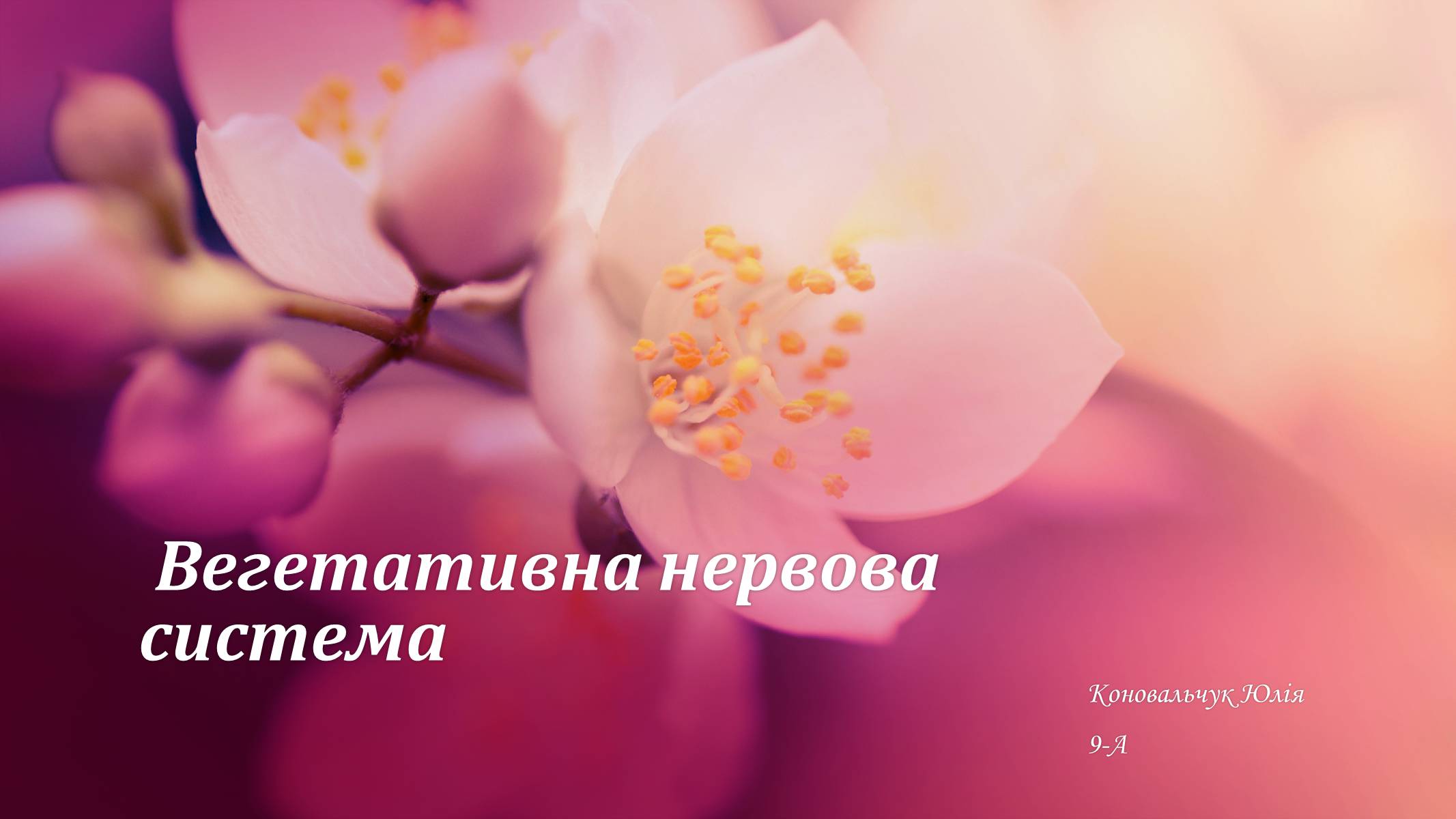 Презентація на тему «Вегетативна нервова система» - Слайд #1 Презентація на тему «Вегетативна нервова система» - Слайд #1