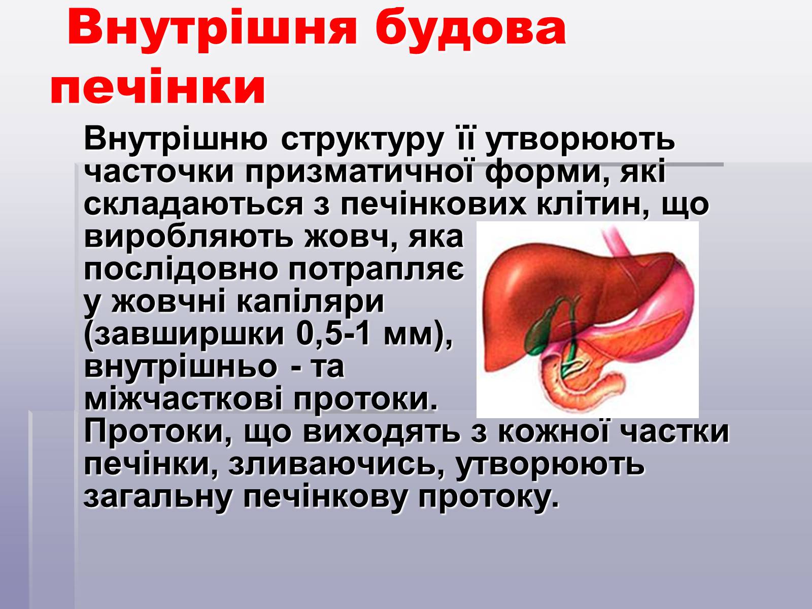 Презентація на тему «Печінка та кишечник» - Слайд #18 Презентація на тему «Печінка та кишечник» - Слайд #18