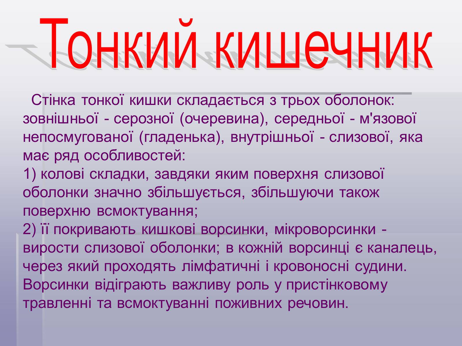 Презентація на тему «Печінка та кишечник» - Слайд #4 Презентація на тему «Печінка та кишечник» - Слайд #4