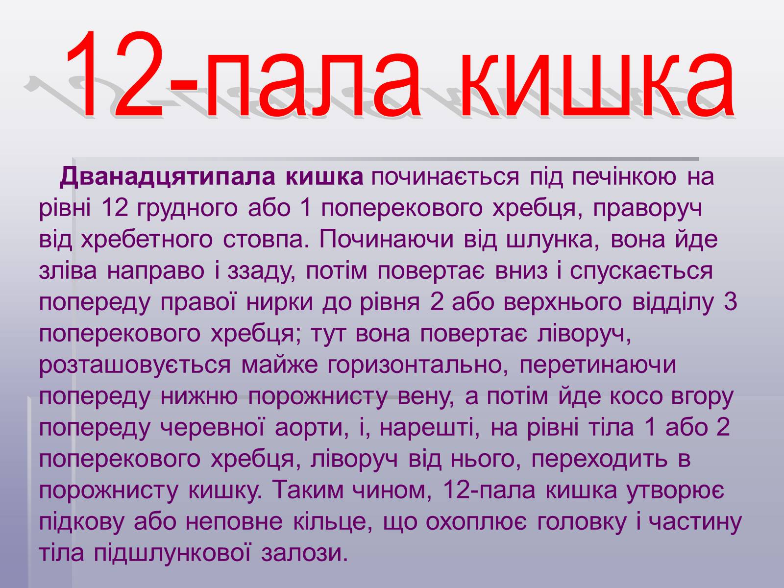 Презентація на тему «Печінка та кишечник» - Слайд #7 Презентація на тему «Печінка та кишечник» - Слайд #7