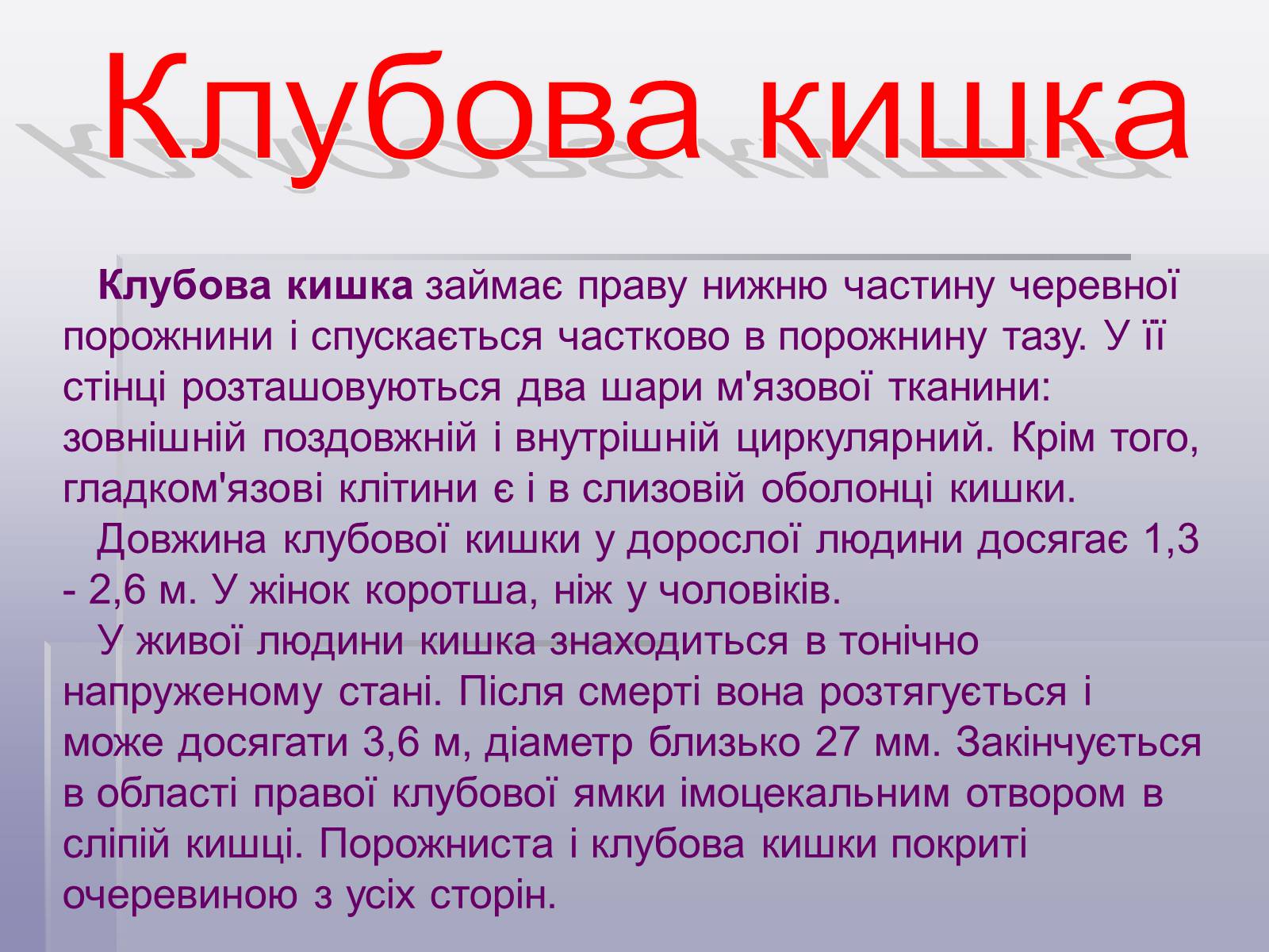 Презентація на тему «Печінка та кишечник» - Слайд #9 Презентація на тему «Печінка та кишечник» - Слайд #9