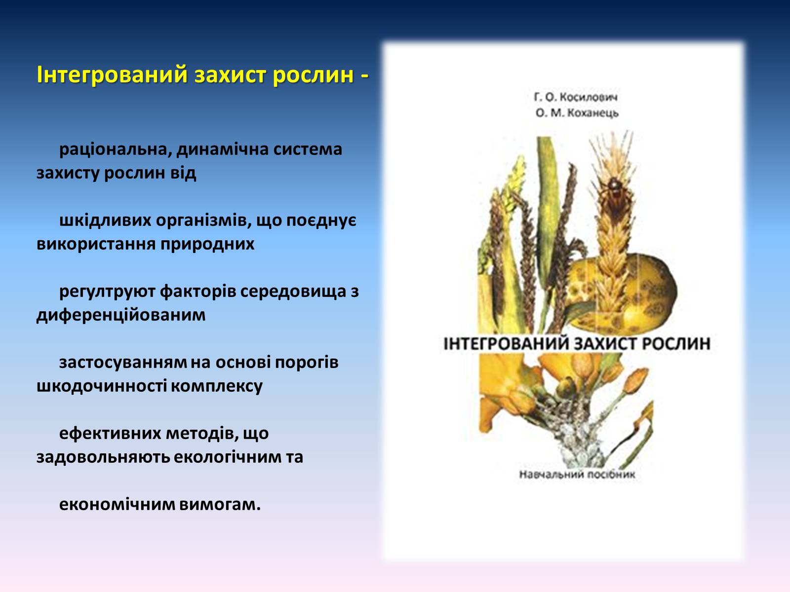 Презентація на тему «Засоби для захисту рослин» - Слайд #17 Презентація на тему «Засоби для захисту рослин» - Слайд #17