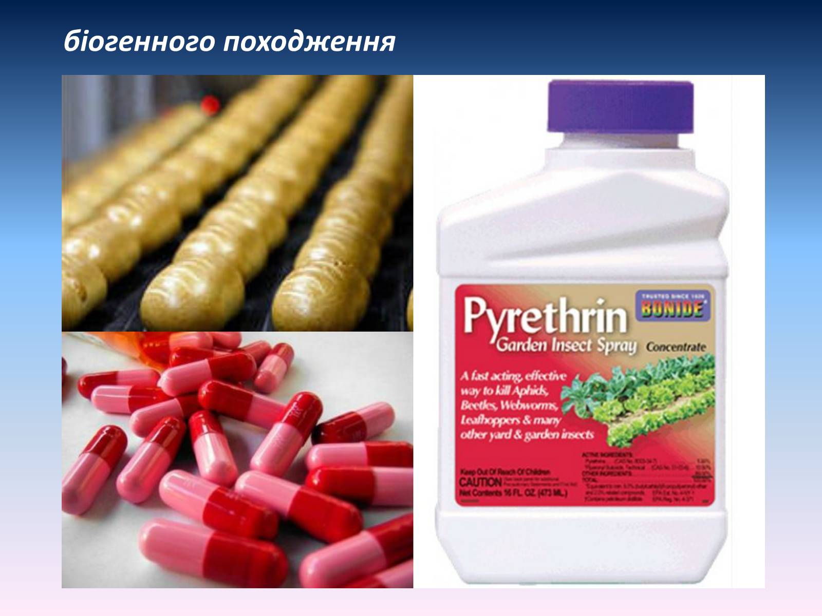 Презентація на тему «Засоби для захисту рослин» - Слайд #5 Презентація на тему «Засоби для захисту рослин» - Слайд #5