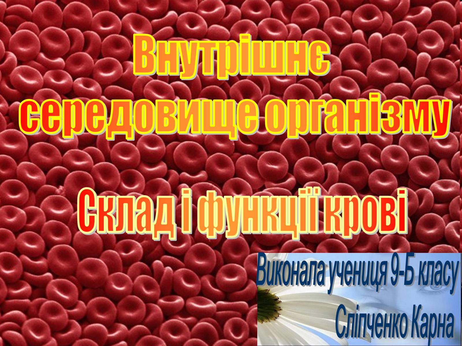 Презентація на тему «Внутрішнє середовище організму» - Слайд #1 Презентація на тему «Внутрішнє середовище організму» - Слайд #1