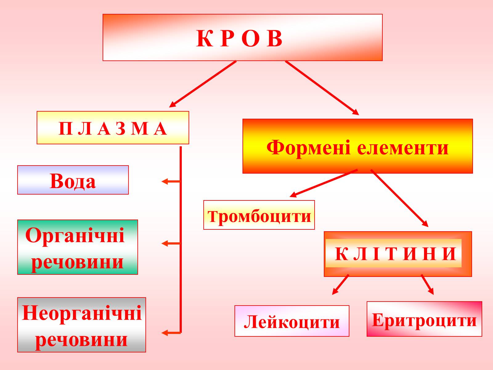 Презентація на тему «Внутрішнє середовище організму» - Слайд #7 Презентація на тему «Внутрішнє середовище організму» - Слайд #7