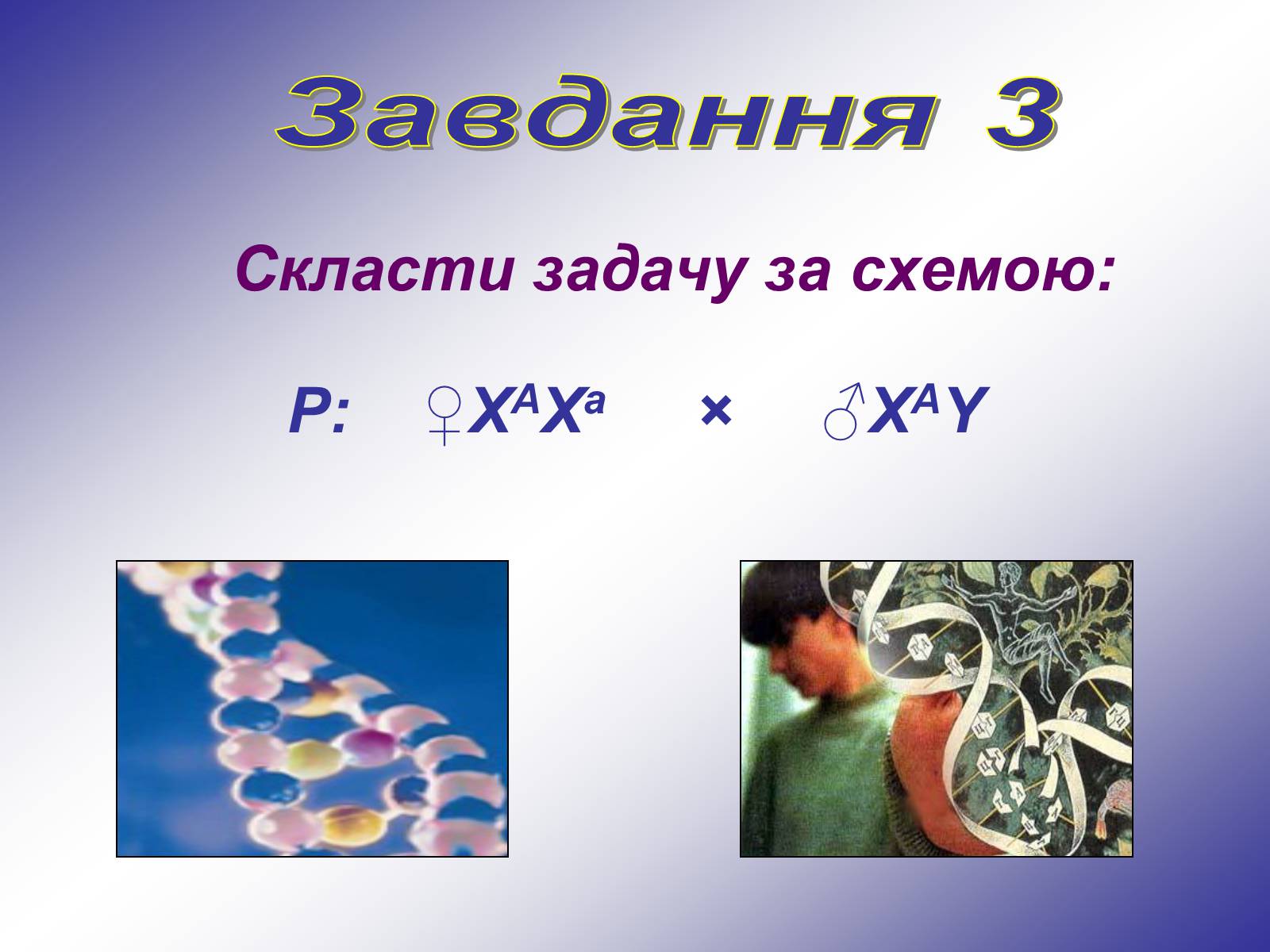 Презентація на тему «Генетика людини» (варіант 1) - Слайд #10 Презентація на тему «Генетика людини» (варіант 1) - Слайд #10