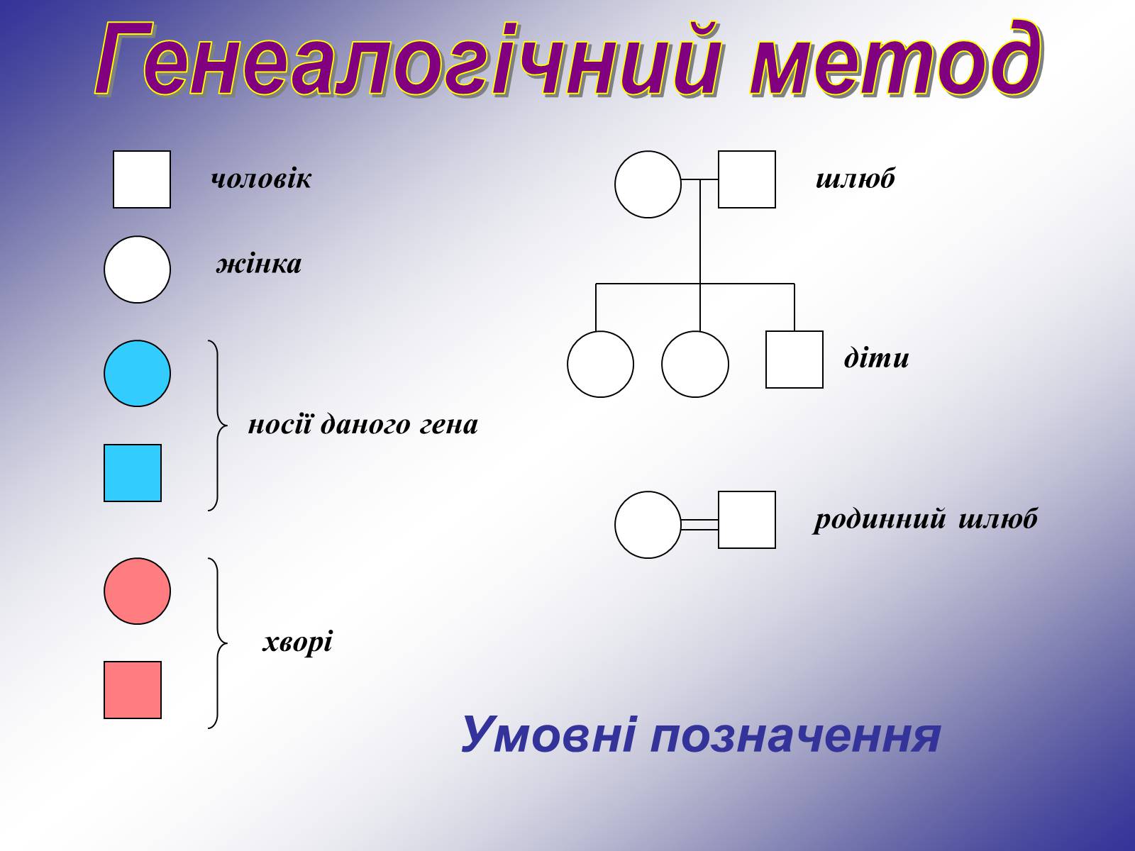 Презентація на тему «Генетика людини» (варіант 1) - Слайд #14 Презентація на тему «Генетика людини» (варіант 1) - Слайд #14