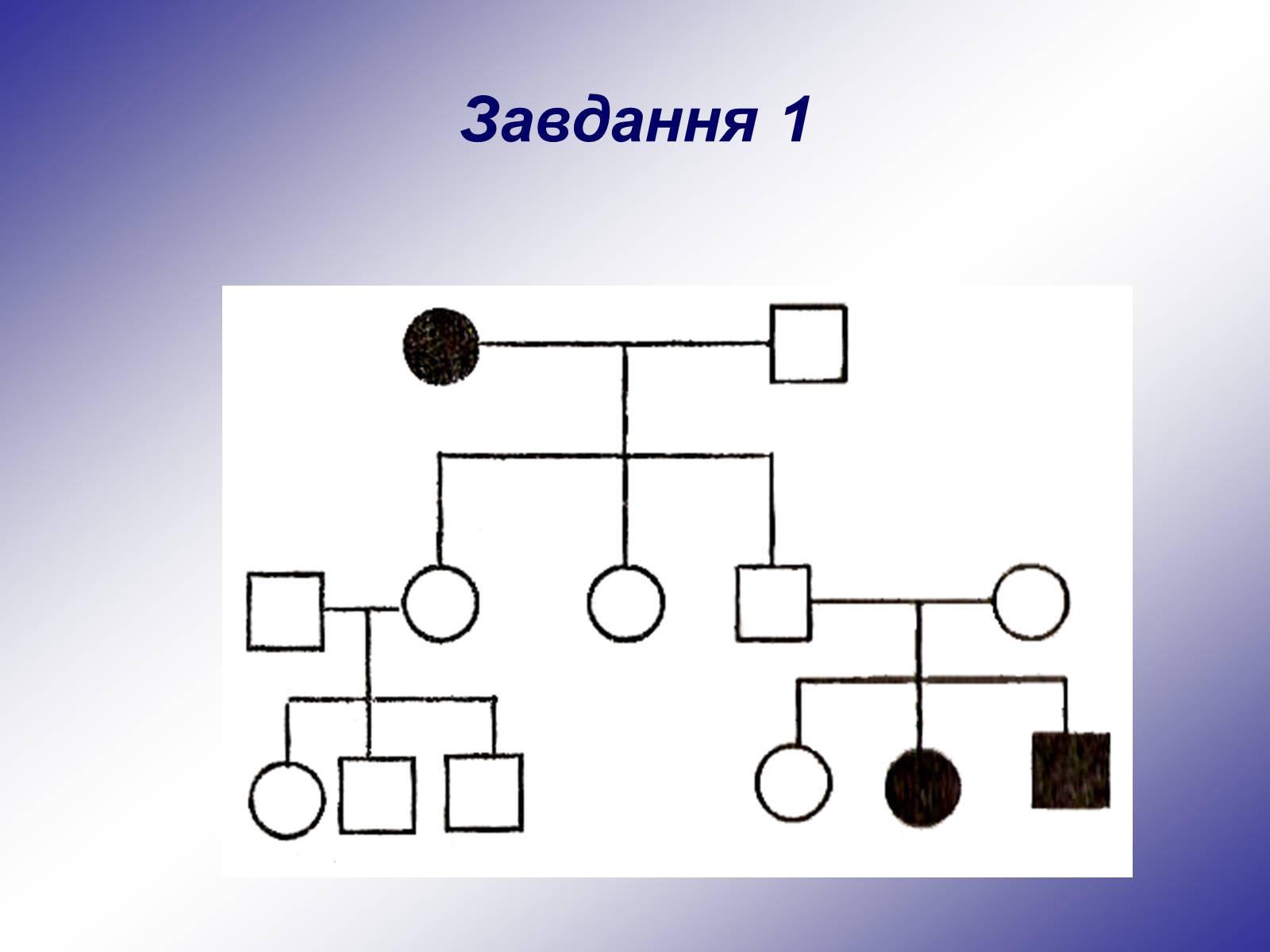 Презентація на тему «Генетика людини» (варіант 1) - Слайд #22 Презентація на тему «Генетика людини» (варіант 1) - Слайд #22