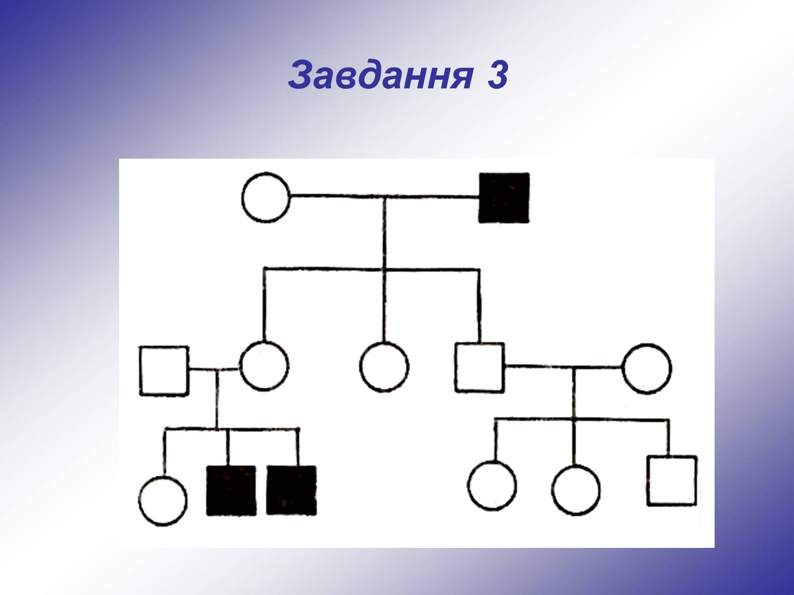 Презентація на тему «Генетика людини» (варіант 1) - Слайд #24 Презентація на тему «Генетика людини» (варіант 1) - Слайд #24