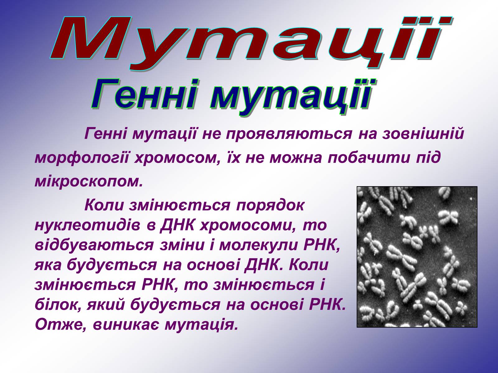 Презентація на тему «Генетика людини» (варіант 1) - Слайд #39 Презентація на тему «Генетика людини» (варіант 1) - Слайд #39