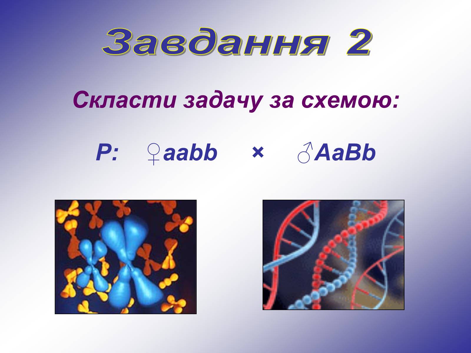 Презентація на тему «Генетика людини» (варіант 1) - Слайд #9 Презентація на тему «Генетика людини» (варіант 1) - Слайд #9