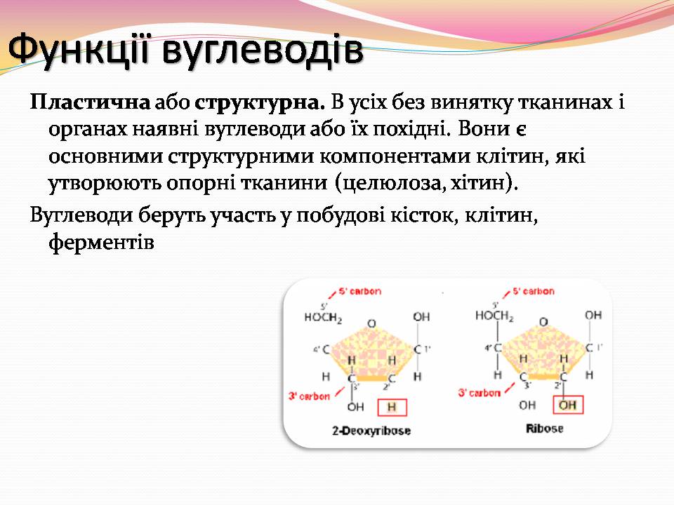 Презентація на тему «Вуглеводи як компоненти їжі, їх роль у житті людини» (варіант 39) - Слайд #14 Презентація на тему «Вуглеводи як компоненти їжі, їх роль у житті людини» (варіант 39) - Слайд #14