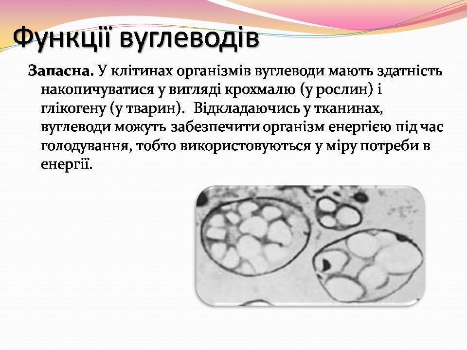 Презентація на тему «Вуглеводи як компоненти їжі, їх роль у житті людини» (варіант 39) - Слайд #15 Презентація на тему «Вуглеводи як компоненти їжі, їх роль у житті людини» (варіант 39) - Слайд #15