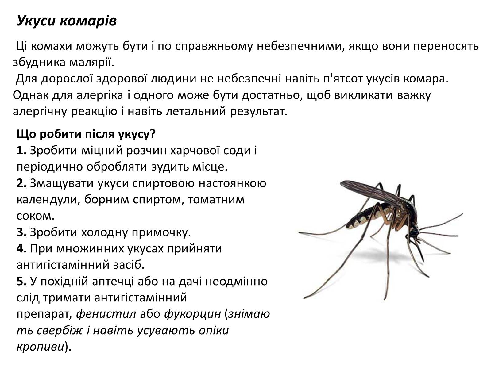 Презентація на тему «Допомога при укусах отруйних комах та тварин» - Слайд #4 Презентація на тему «Допомога при укусах отруйних комах та тварин» - Слайд #4