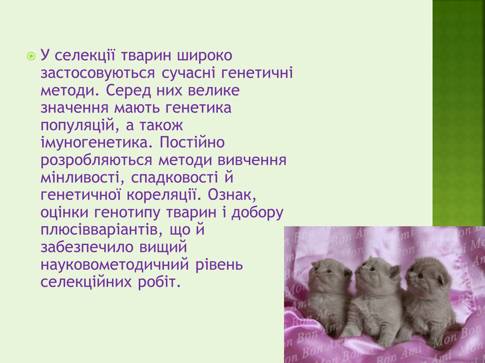 Презентація на тему «Селекція організмів» - Слайд #12 Презентація на тему «Селекція організмів» - Слайд #12