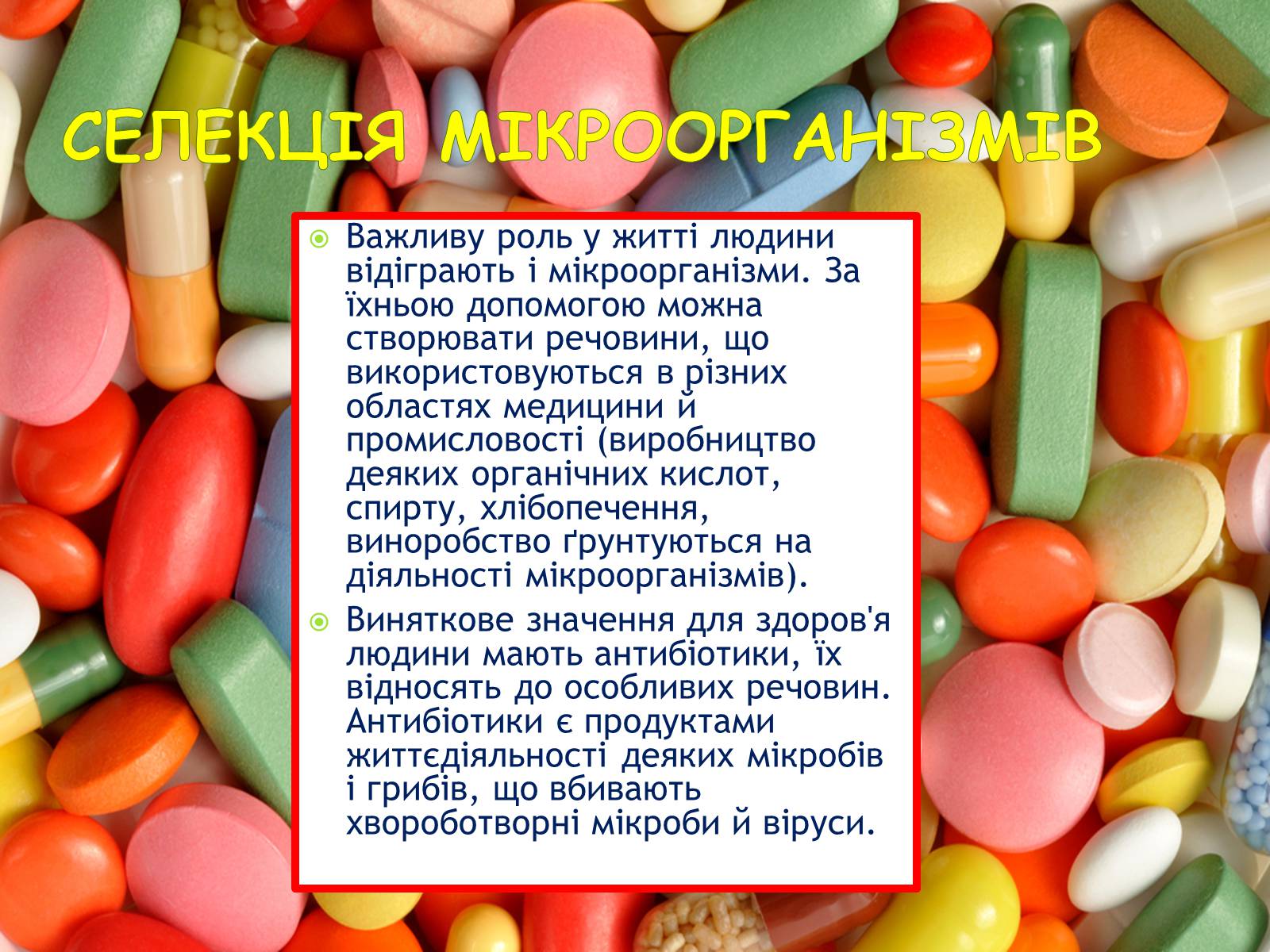 Презентація на тему «Селекція організмів» - Слайд #14 Презентація на тему «Селекція організмів» - Слайд #14