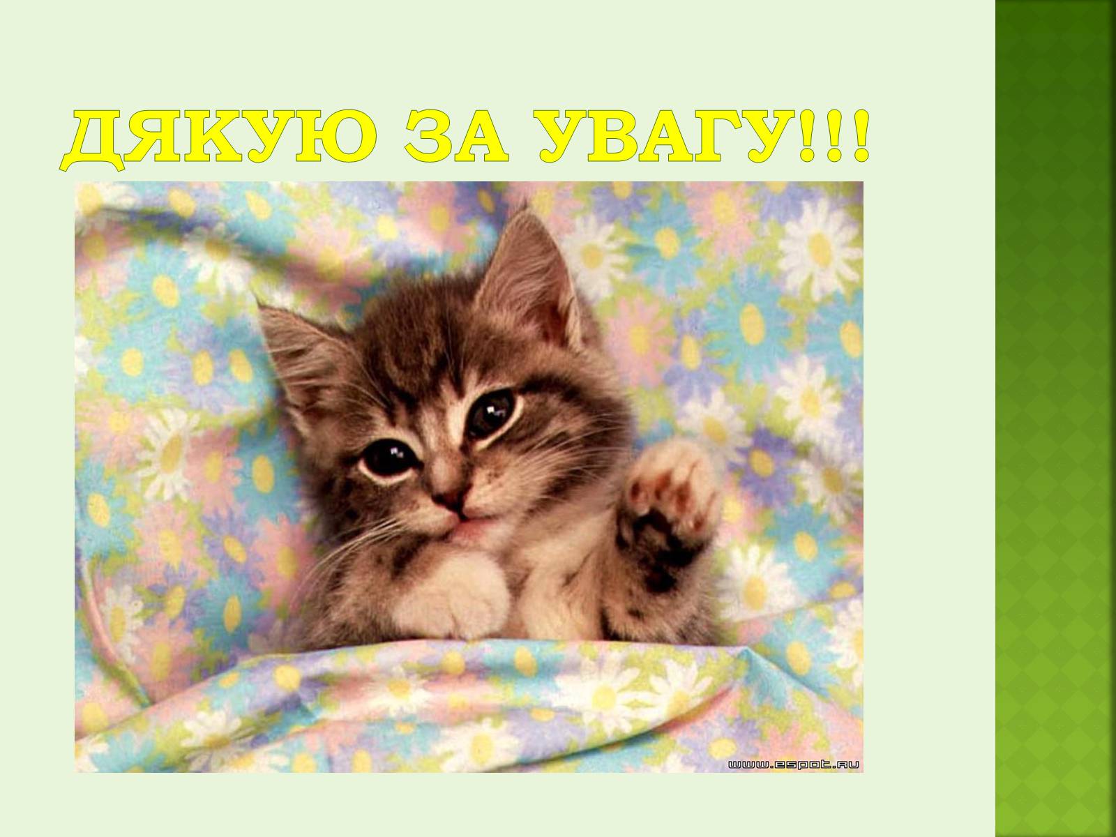 Презентація на тему «Селекція організмів» - Слайд #17 Презентація на тему «Селекція організмів» - Слайд #17