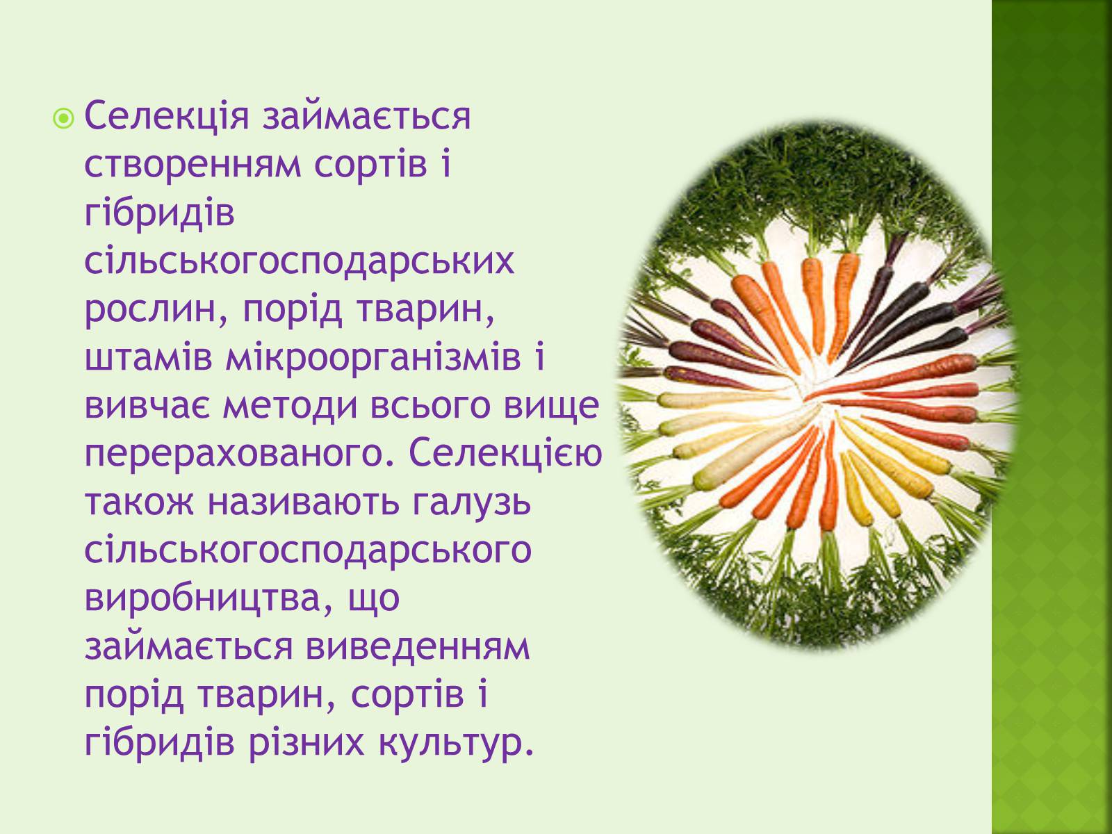 Презентація на тему «Селекція організмів» - Слайд #2 Презентація на тему «Селекція організмів» - Слайд #2