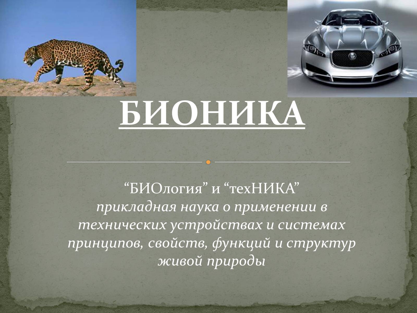 Презентація на тему «Бионика» (варіант 2) - Слайд #1 Презентація на тему «Бионика» (варіант 2) - Слайд #1