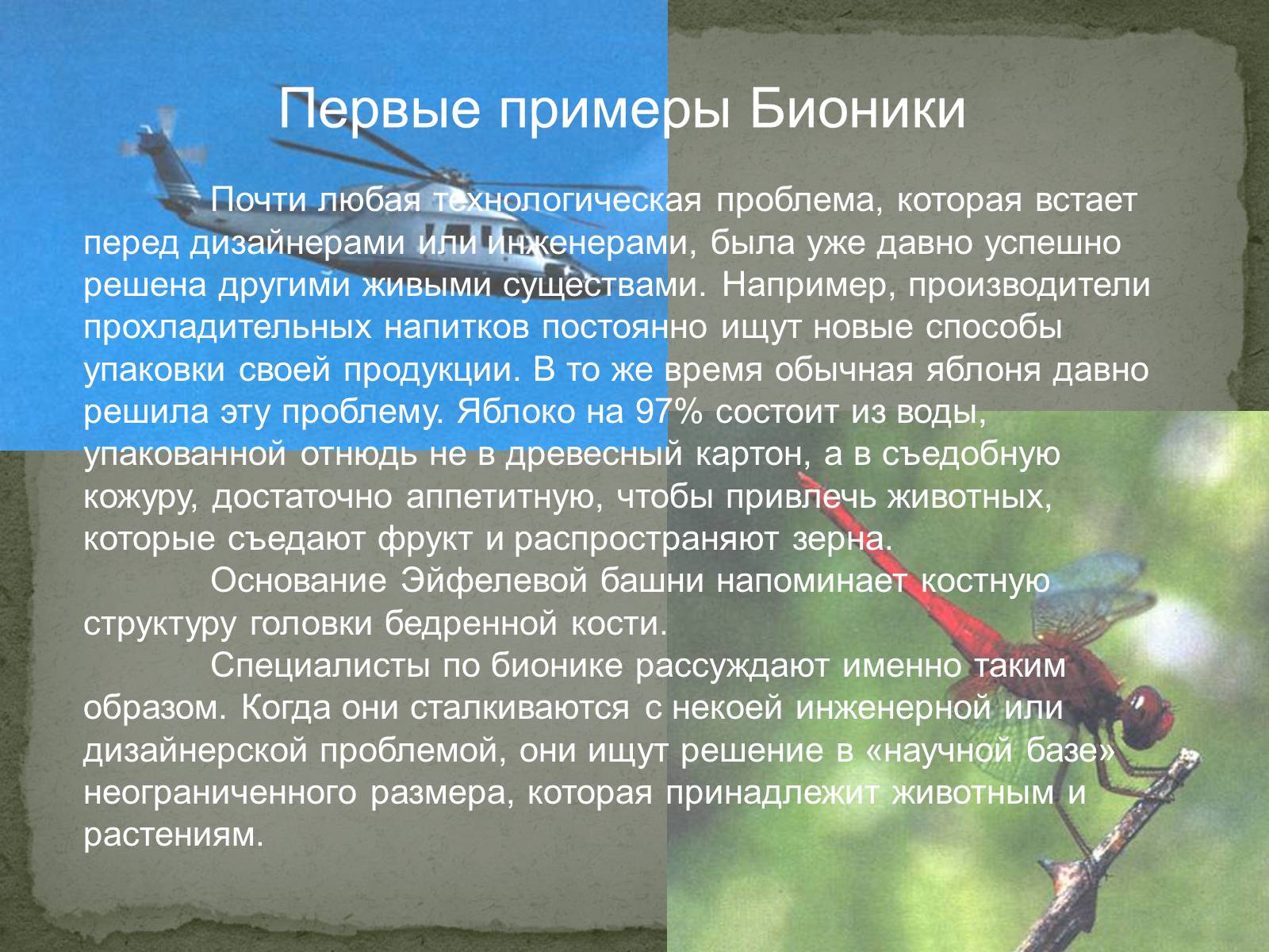 Презентація на тему «Бионика» (варіант 2) - Слайд #13 Презентація на тему «Бионика» (варіант 2) - Слайд #13