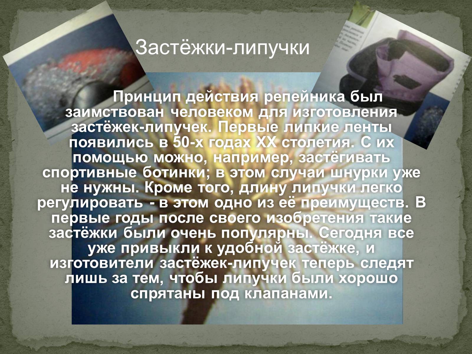 Презентація на тему «Бионика» (варіант 2) - Слайд #14 Презентація на тему «Бионика» (варіант 2) - Слайд #14