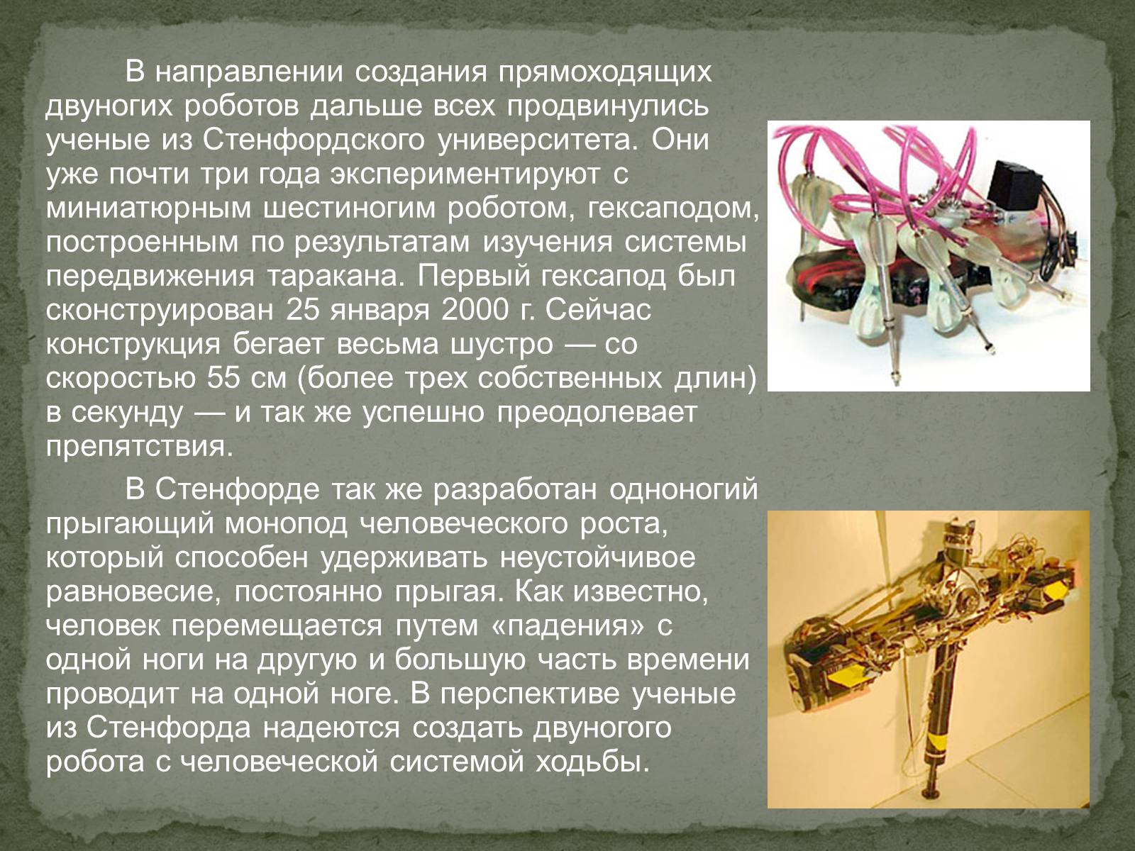 Презентація на тему «Бионика» (варіант 2) - Слайд #17 Презентація на тему «Бионика» (варіант 2) - Слайд #17