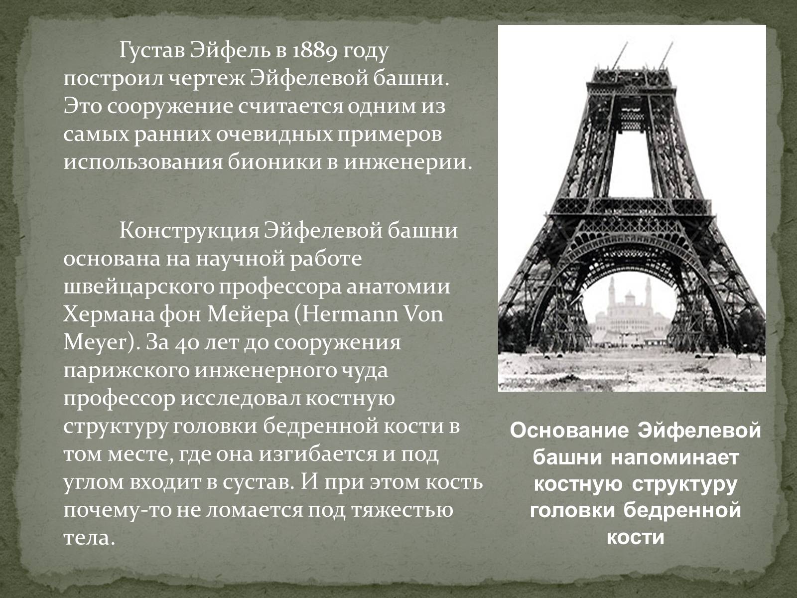 Презентація на тему «Бионика» (варіант 2) - Слайд #20 Презентація на тему «Бионика» (варіант 2) - Слайд #20