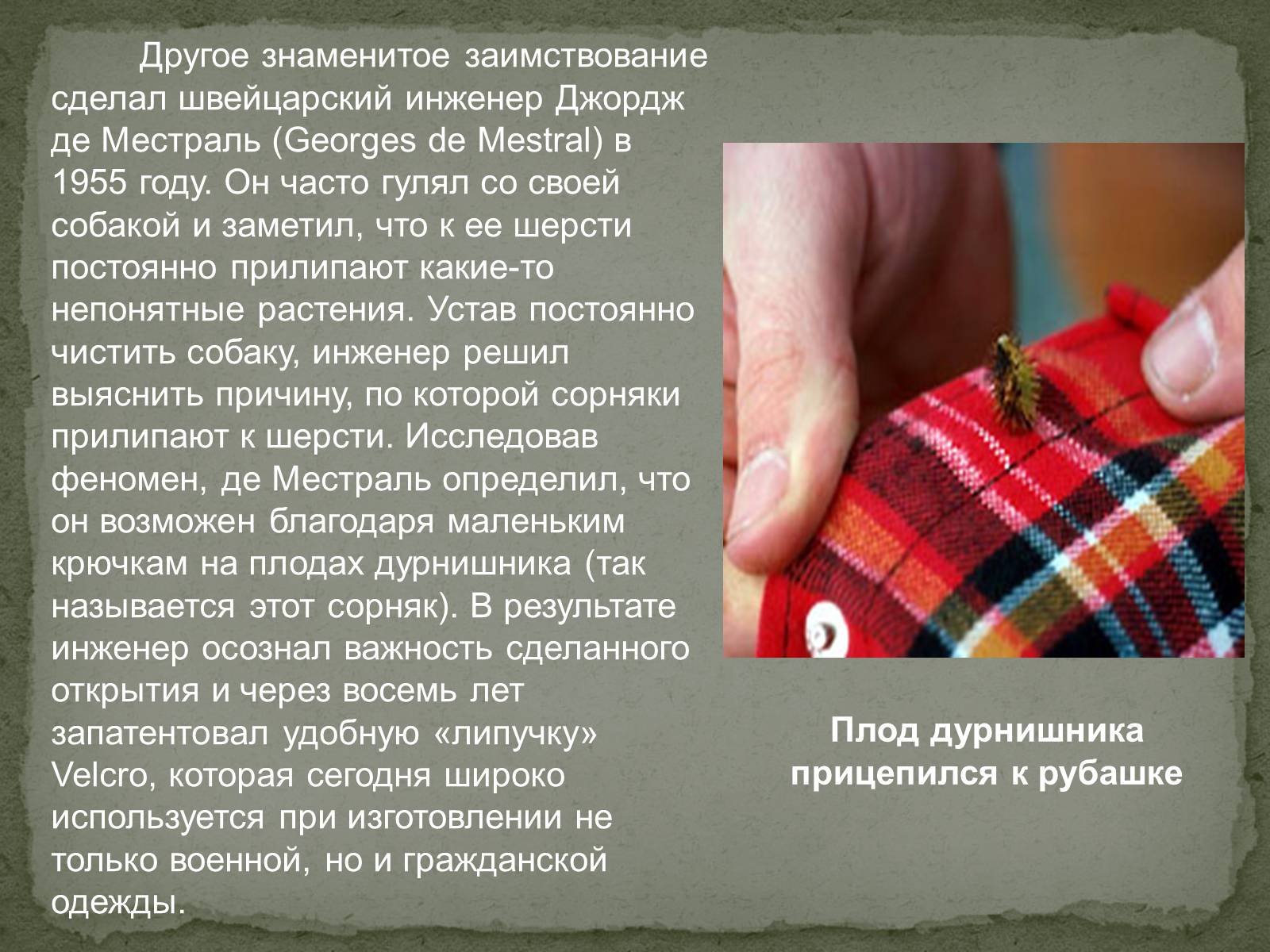 Презентація на тему «Бионика» (варіант 2) - Слайд #22 Презентація на тему «Бионика» (варіант 2) - Слайд #22