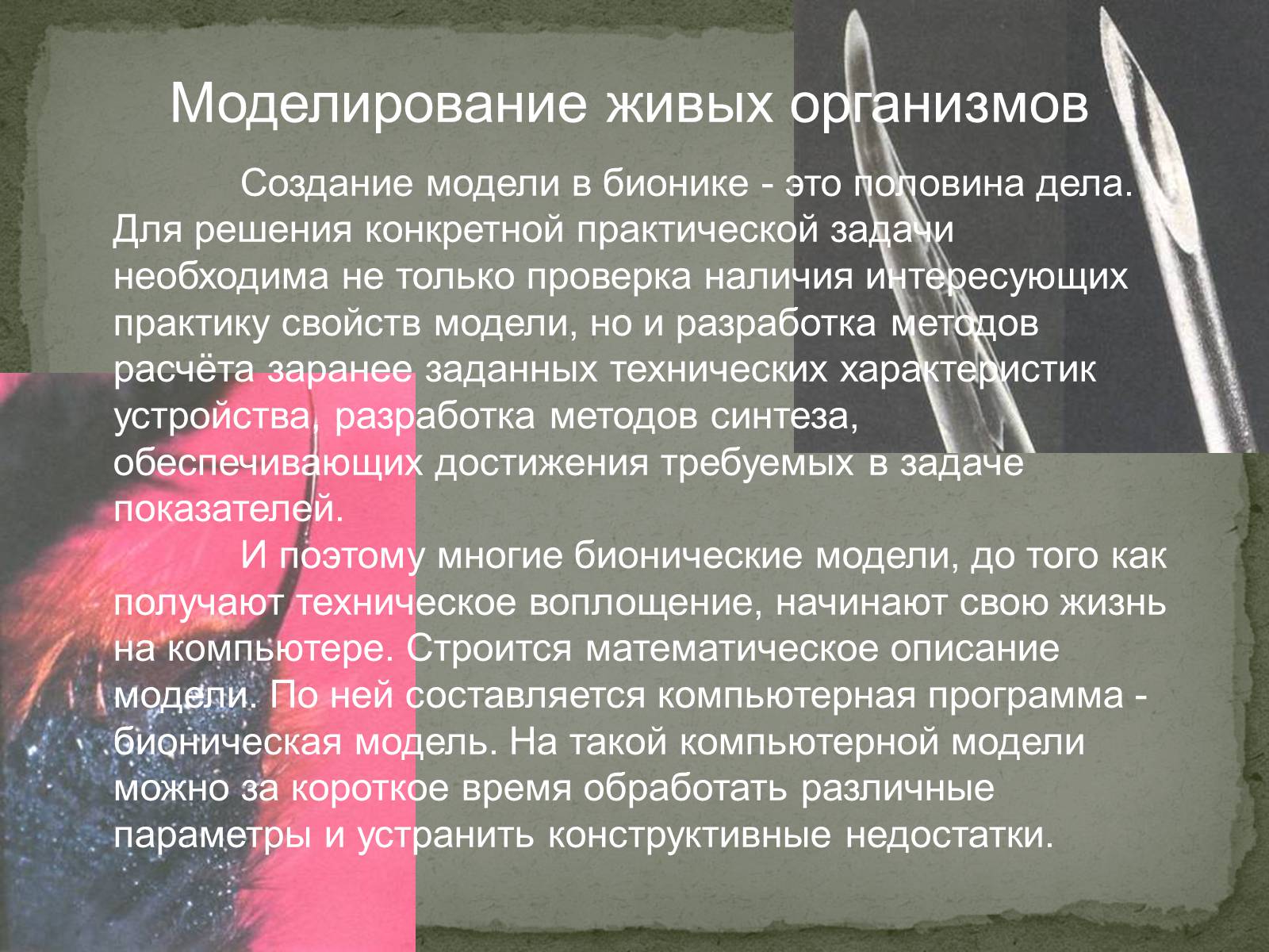 Презентація на тему «Бионика» (варіант 2) - Слайд #8 Презентація на тему «Бионика» (варіант 2) - Слайд #8