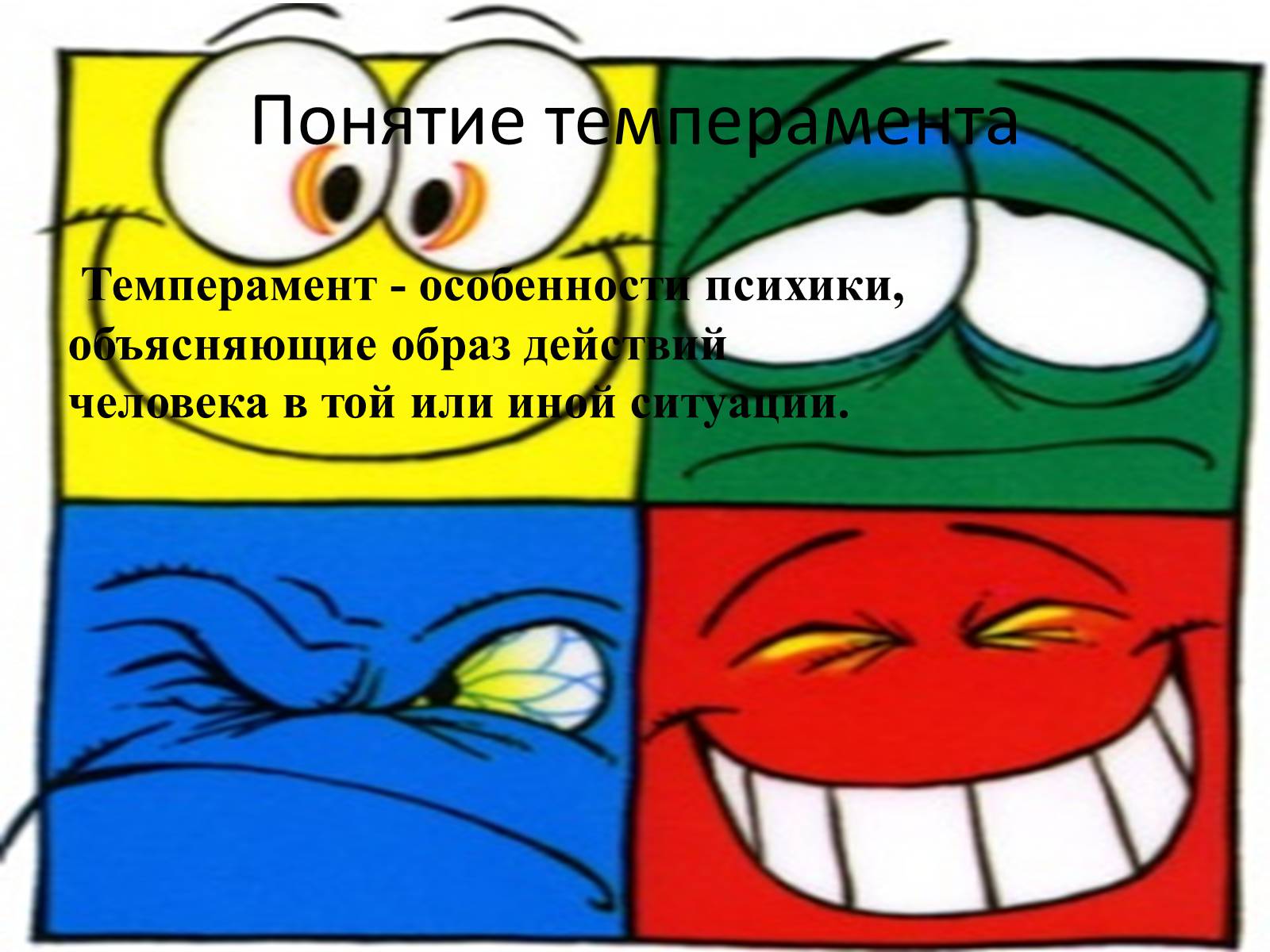 Презентація на тему «Темперамент» - Слайд #2 Презентація на тему «Темперамент» - Слайд #2