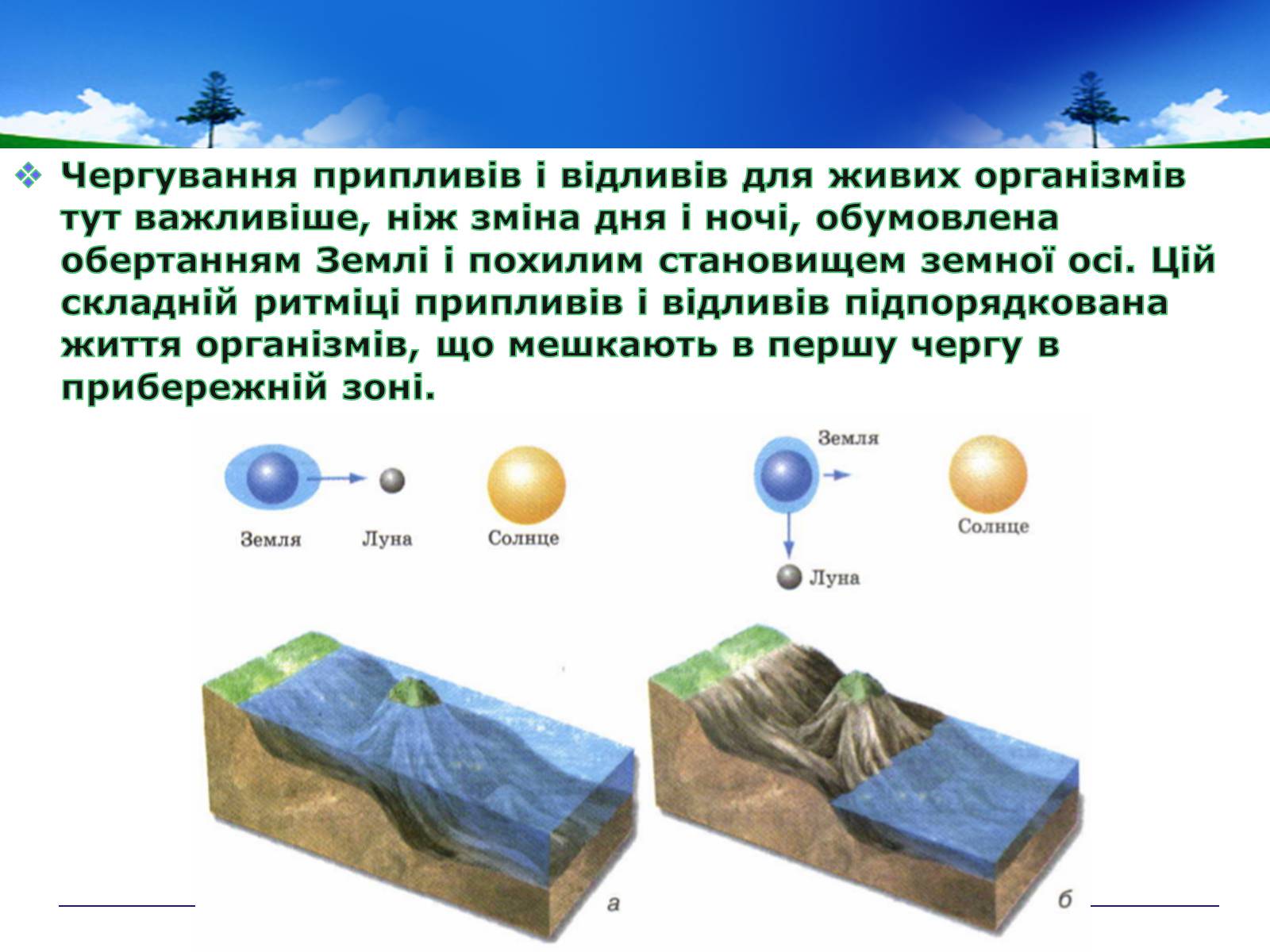 Презентація на тему «Адаптивні ритми популяцій і організмів» - Слайд #11 Презентація на тему «Адаптивні ритми популяцій і організмів» - Слайд #11