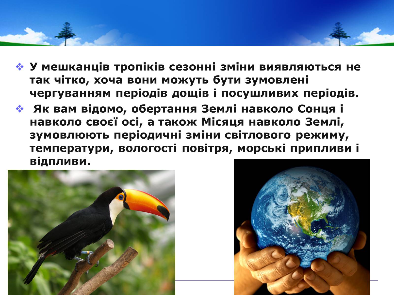 Презентація на тему «Адаптивні ритми популяцій і організмів» - Слайд #3 Презентація на тему «Адаптивні ритми популяцій і організмів» - Слайд #3