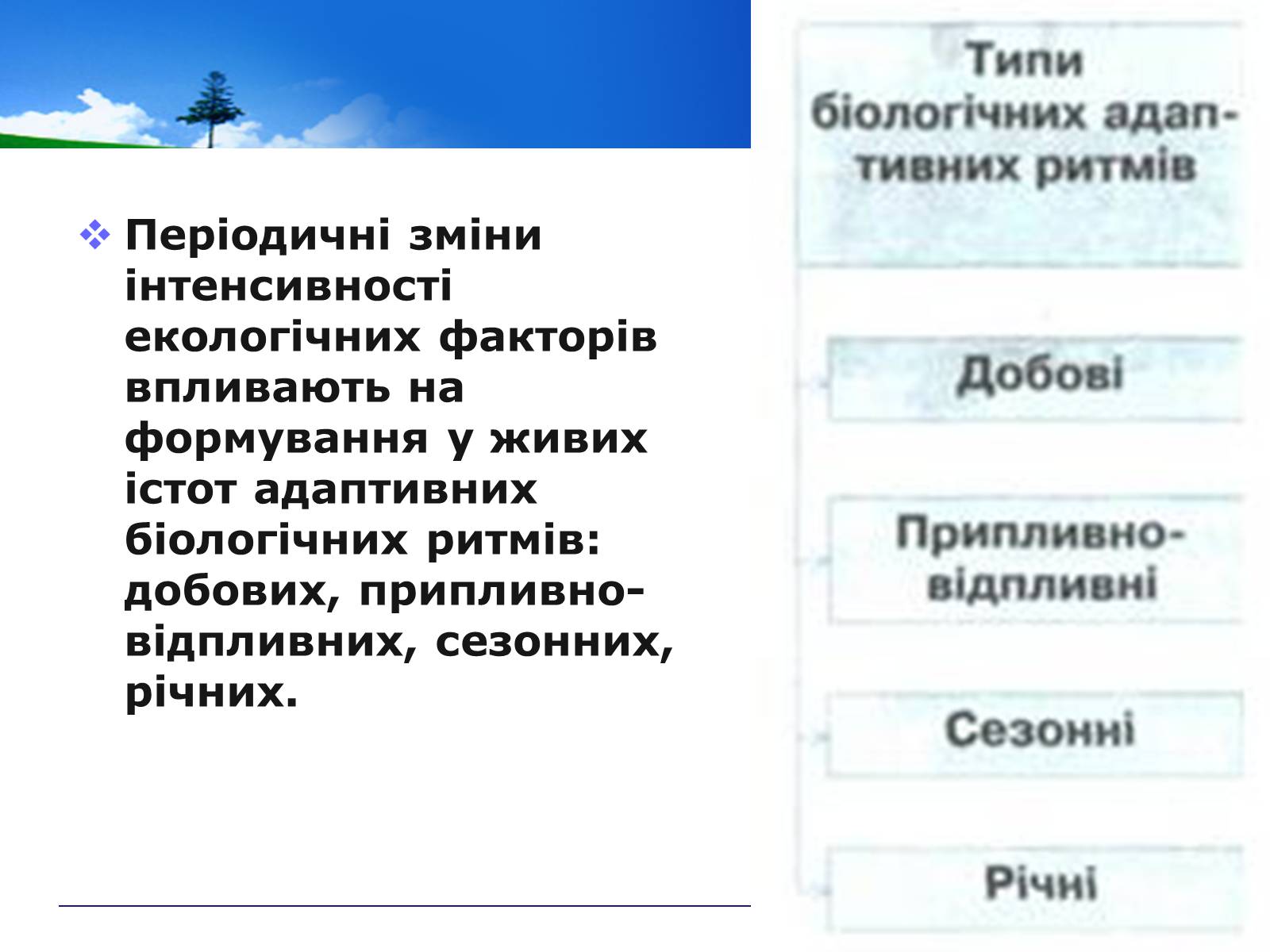 Презентація на тему «Адаптивні ритми популяцій і організмів» - Слайд #4 Презентація на тему «Адаптивні ритми популяцій і організмів» - Слайд #4