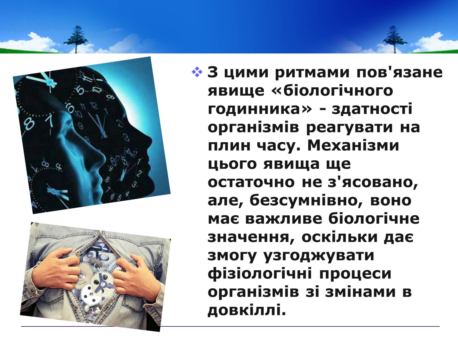 Презентація на тему «Адаптивні ритми популяцій і організмів» - Слайд #5 Презентація на тему «Адаптивні ритми популяцій і організмів» - Слайд #5