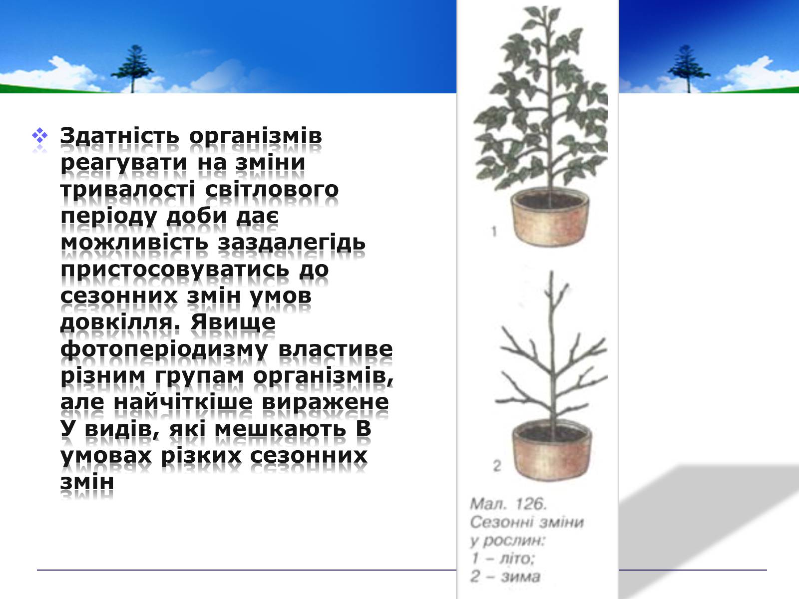 Презентація на тему «Адаптивні ритми популяцій і організмів» - Слайд #9 Презентація на тему «Адаптивні ритми популяцій і організмів» - Слайд #9