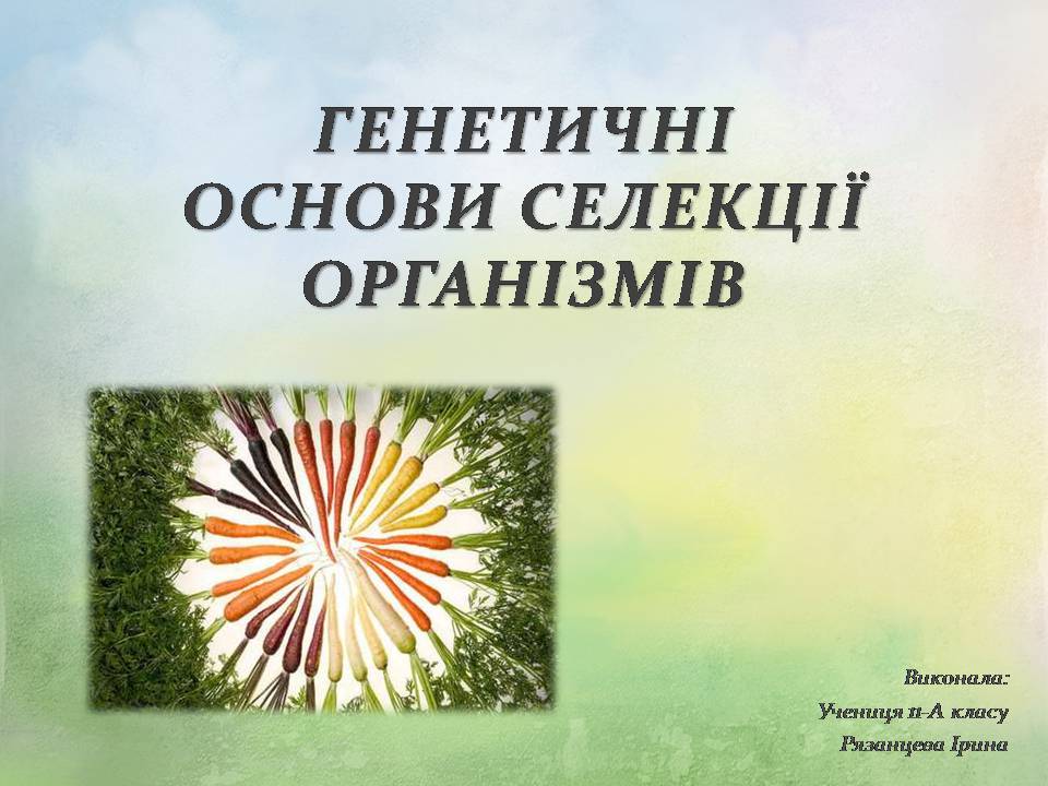 Презентація на тему «Генетичні основи селекції організмів» (варіант 3) - Слайд #1