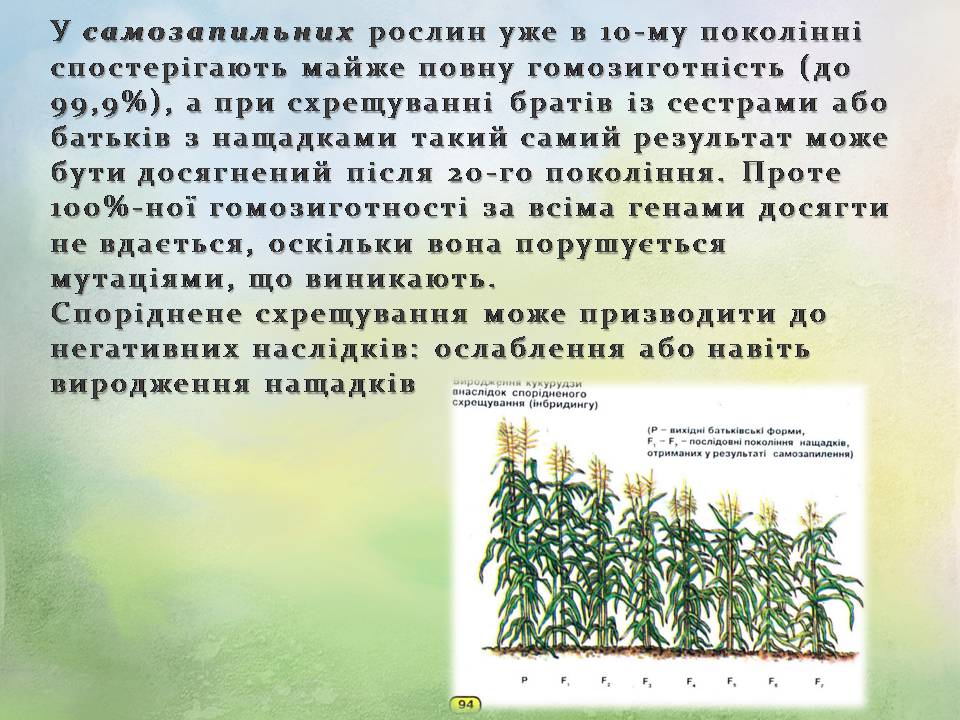 Презентація на тему «Генетичні основи селекції організмів» (варіант 3) - Слайд #14