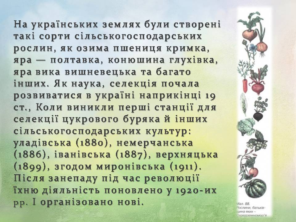 Презентація на тему «Генетичні основи селекції організмів» (варіант 3) - Слайд #5