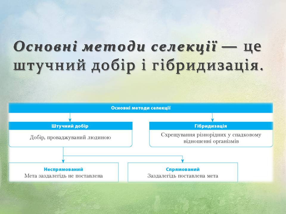 Презентація на тему «Генетичні основи селекції організмів» (варіант 3) - Слайд #6