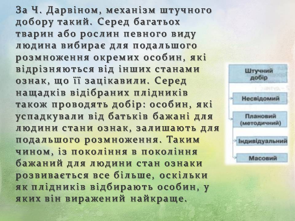 Презентація на тему «Генетичні основи селекції організмів» (варіант 3) - Слайд #8