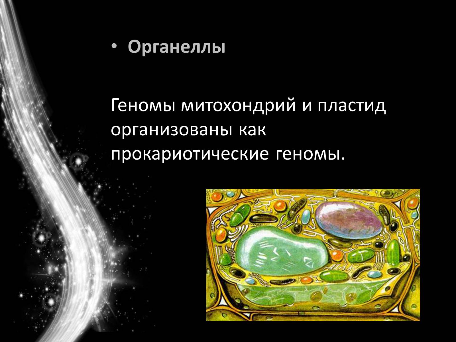 Презентація на тему «Геном человека» - Слайд #10 Презентація на тему «Геном человека» - Слайд #10