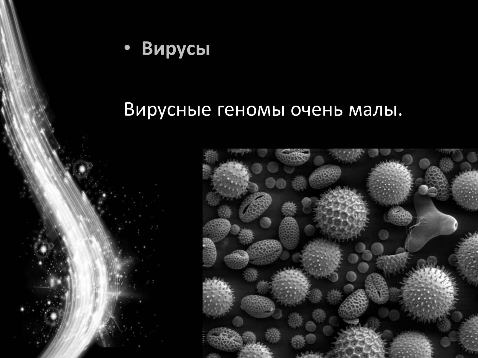Презентація на тему «Геном человека» - Слайд #11 Презентація на тему «Геном человека» - Слайд #11
