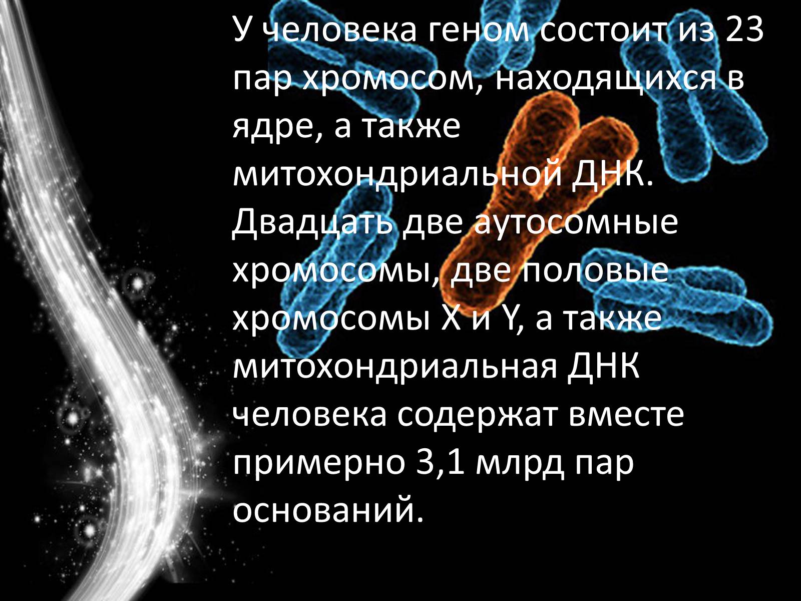 Презентація на тему «Геном человека» - Слайд #3 Презентація на тему «Геном человека» - Слайд #3