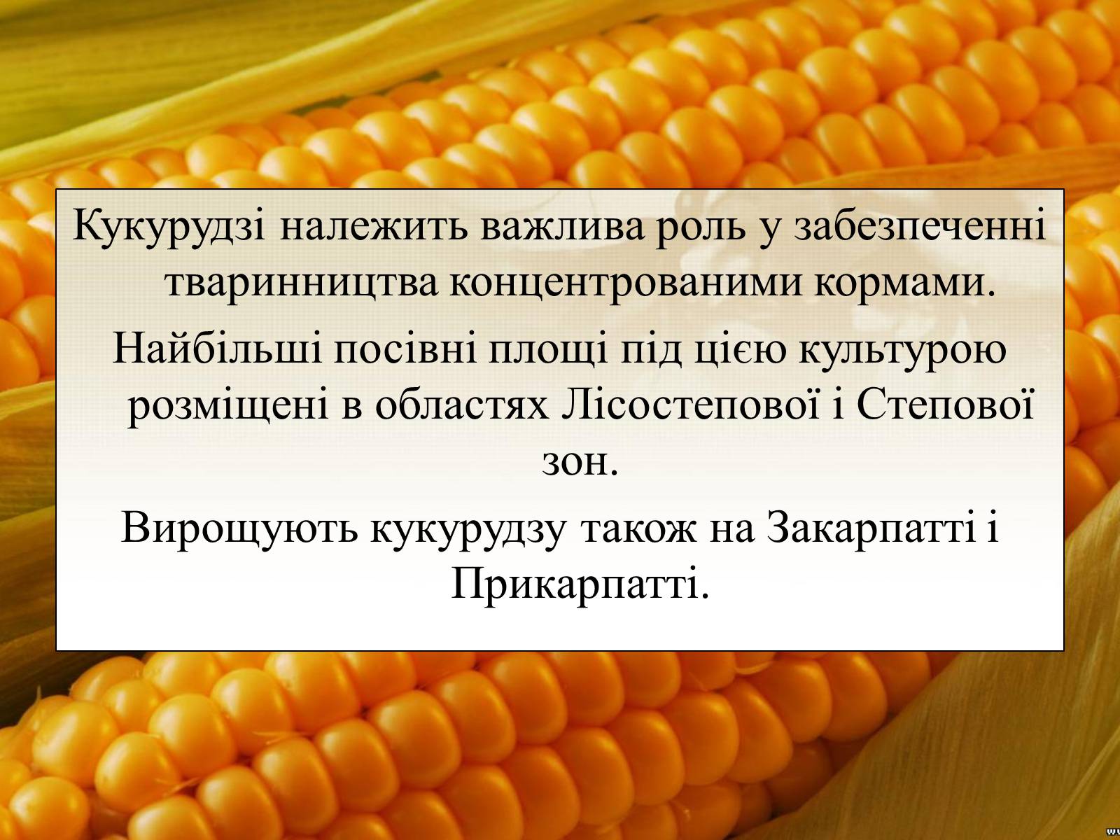 Презентація на тему «Вирощування еліти зернових культур України» - Слайд #10 Презентація на тему «Вирощування еліти зернових культур України» - Слайд #10