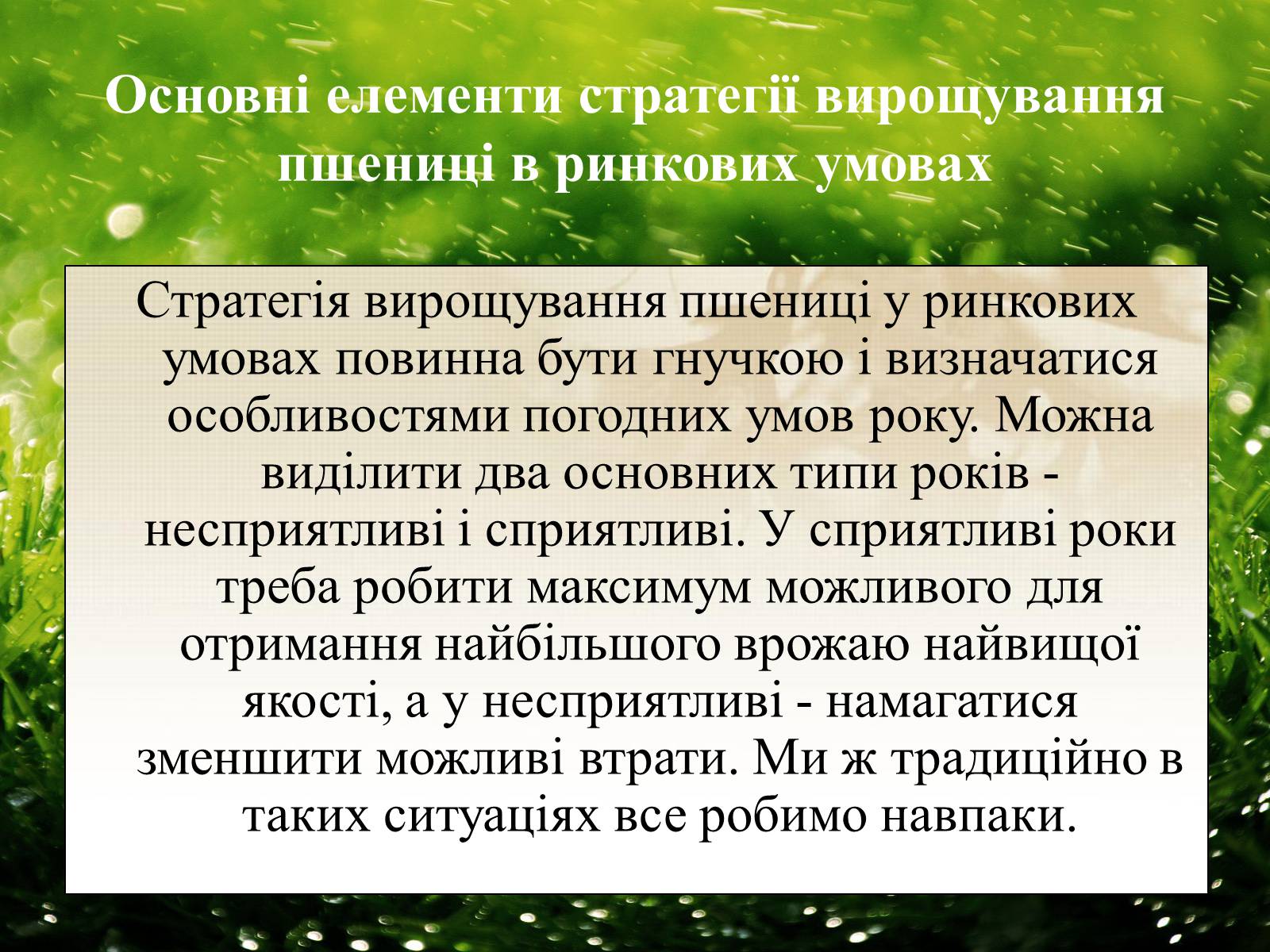 Презентація на тему «Вирощування еліти зернових культур України» - Слайд #17 Презентація на тему «Вирощування еліти зернових культур України» - Слайд #17