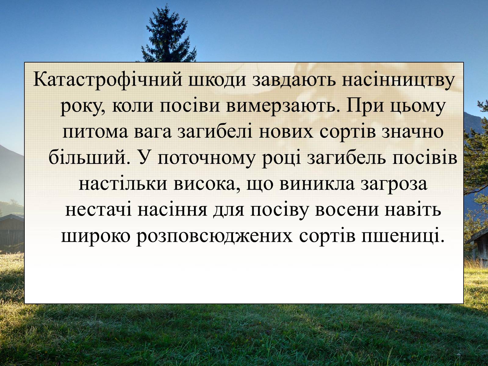 Презентація на тему «Вирощування еліти зернових культур України» - Слайд #21 Презентація на тему «Вирощування еліти зернових культур України» - Слайд #21