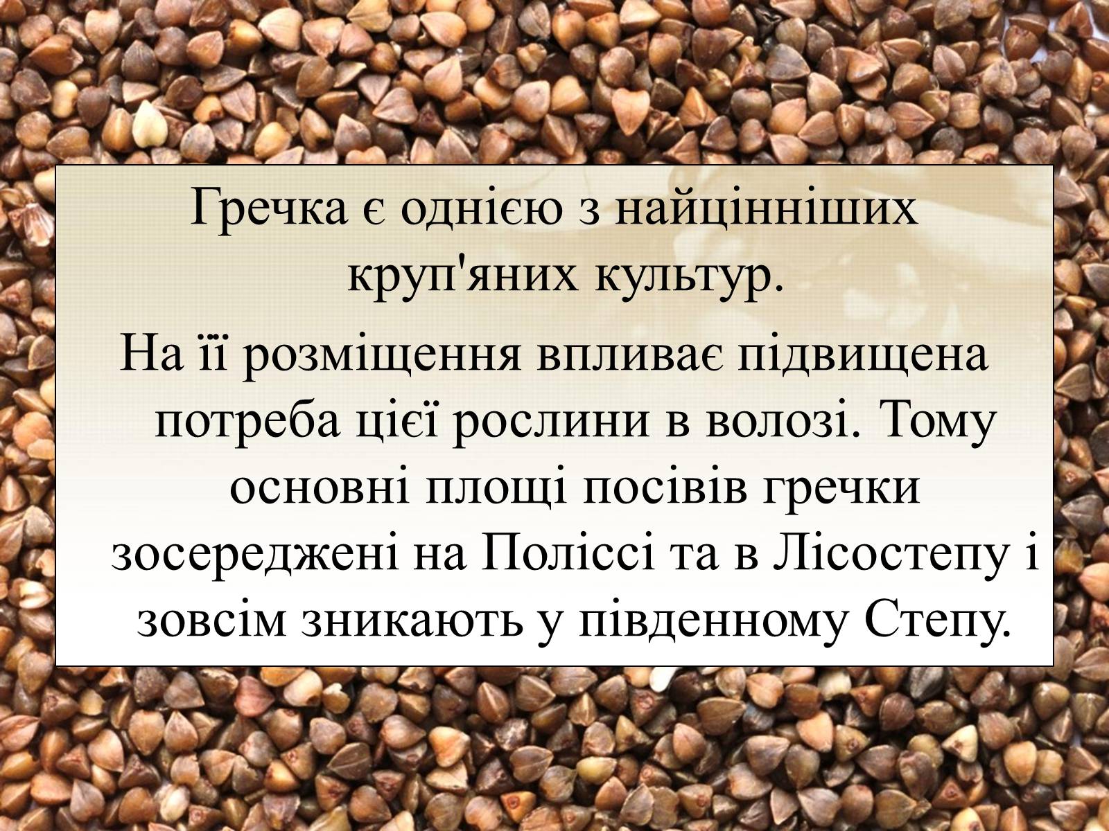 Презентація на тему «Вирощування еліти зернових культур України» - Слайд #6 Презентація на тему «Вирощування еліти зернових культур України» - Слайд #6